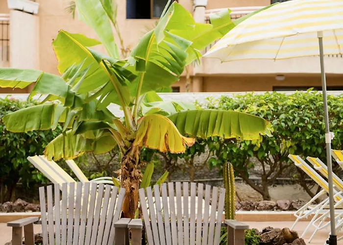 Coral California - Adults Only